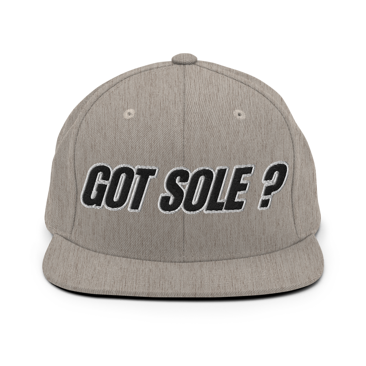 Sole Providerz™ GOT SOLE ? Snapback