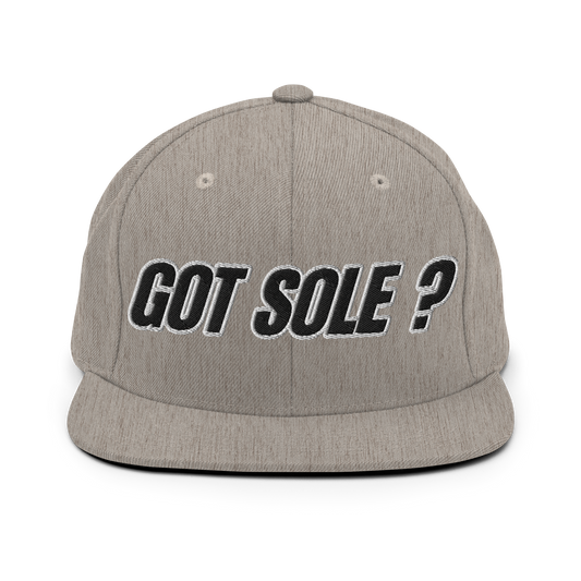 Sole Providerz™ GOT SOLE ? Snapback