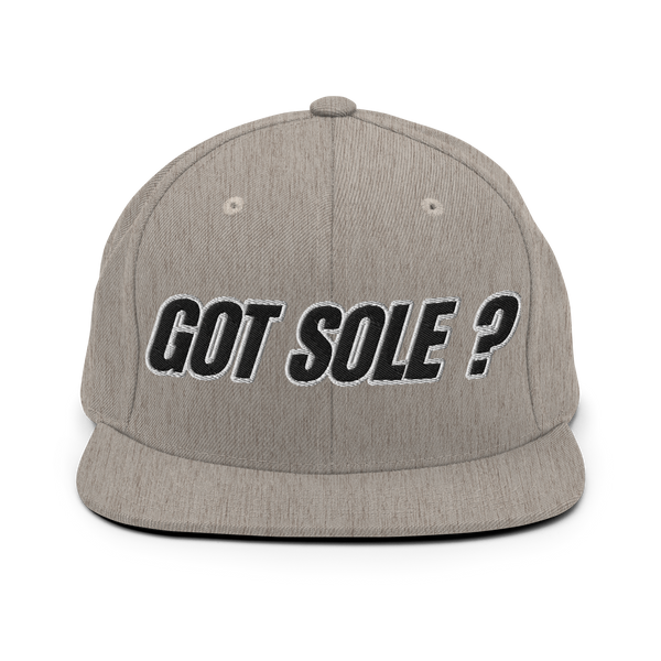 Sole Providerz™ GOT SOLE ? Snapback