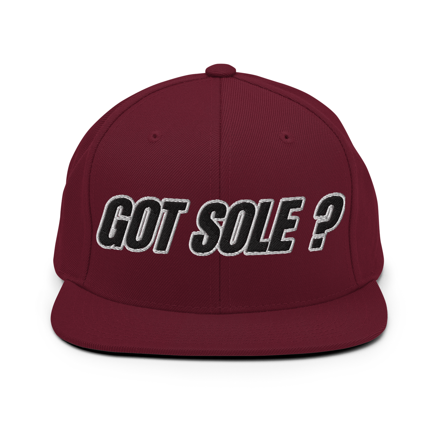 Sole Providerz™ GOT SOLE ? Snapback