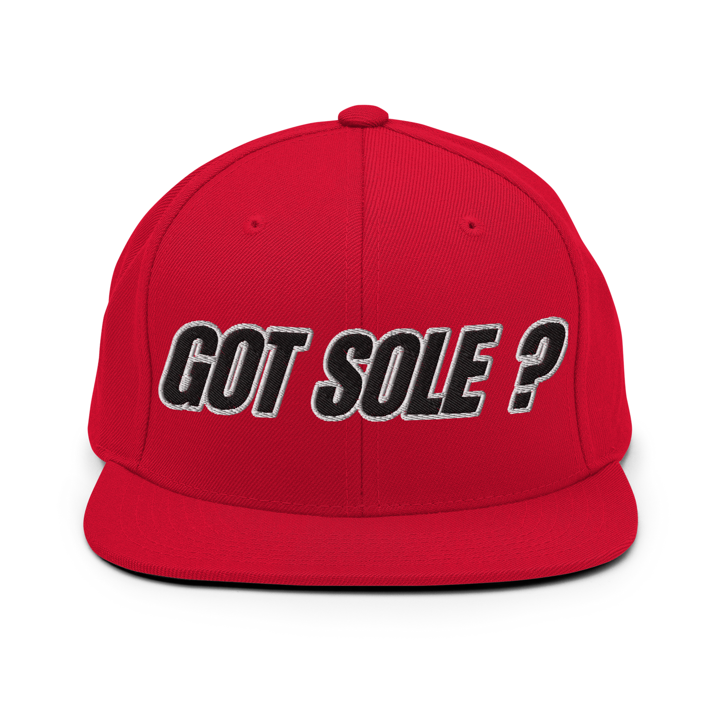 Sole Providerz™ GOT SOLE ? Snapback