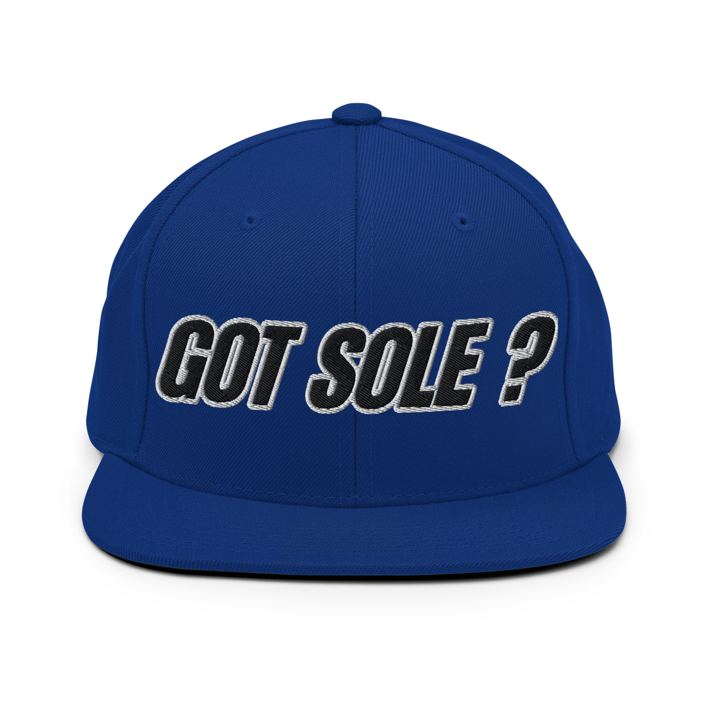Sole Providerz™ GOT SOLE ? Snapback