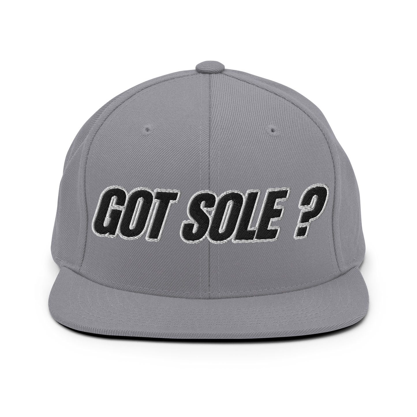 Sole Providerz™ GOT SOLE ? Snapback