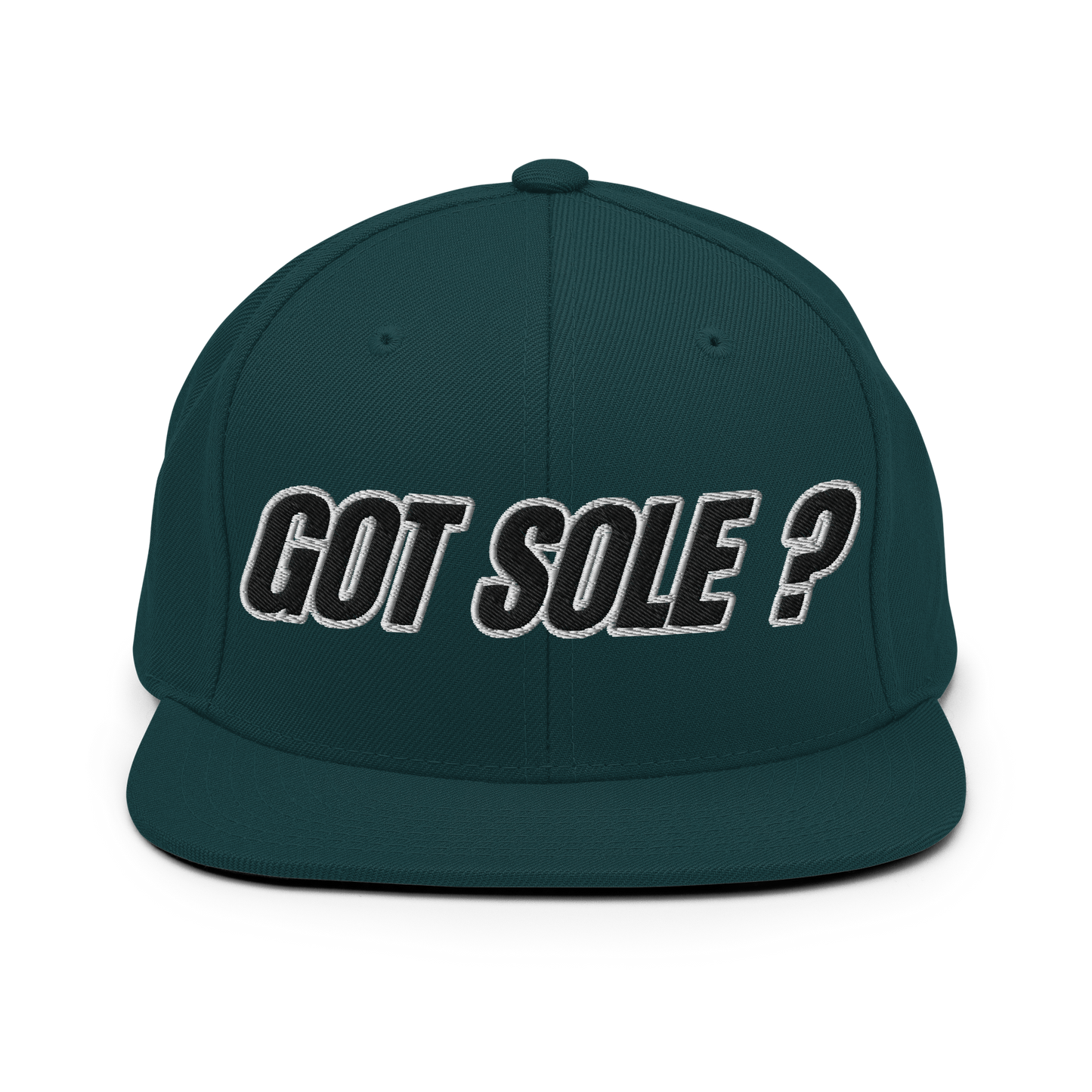 Sole Providerz™ GOT SOLE ? Snapback
