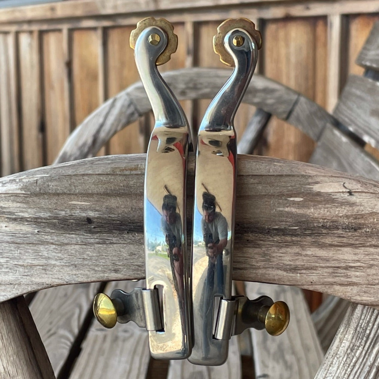 Stainless Steel All Around Spur