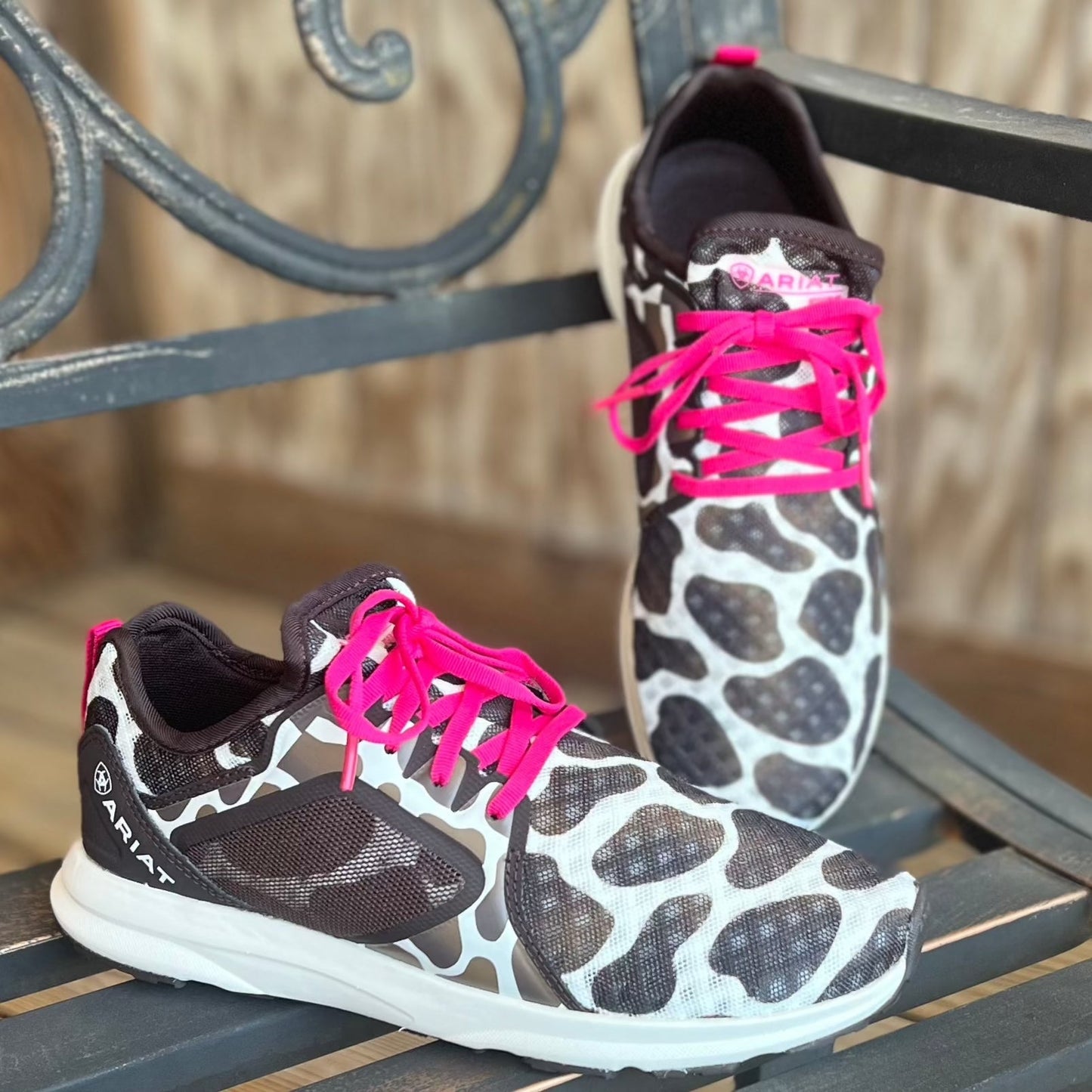 Cow Print Shoe | Ariat Womens