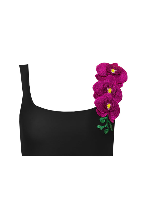 Orchids of Biscayne Top