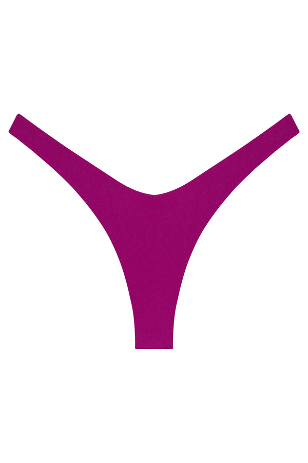 Ludisia Bottom