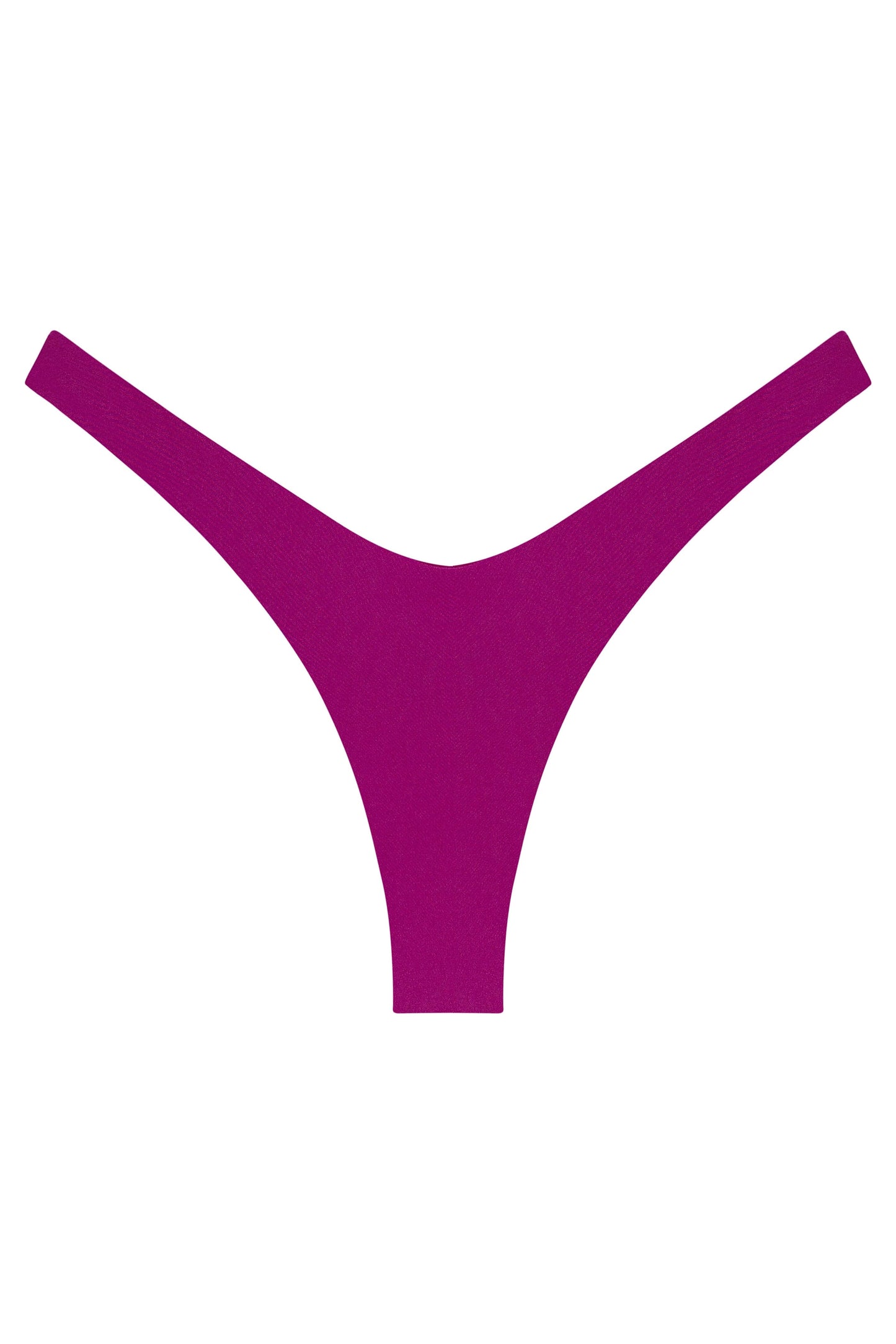 Ludisia Bottom