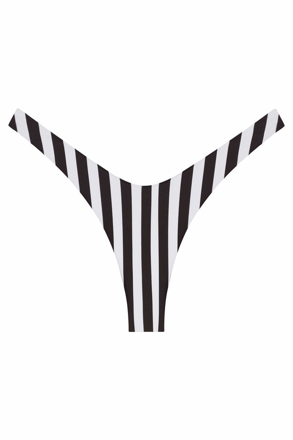 Ludisia Bottom