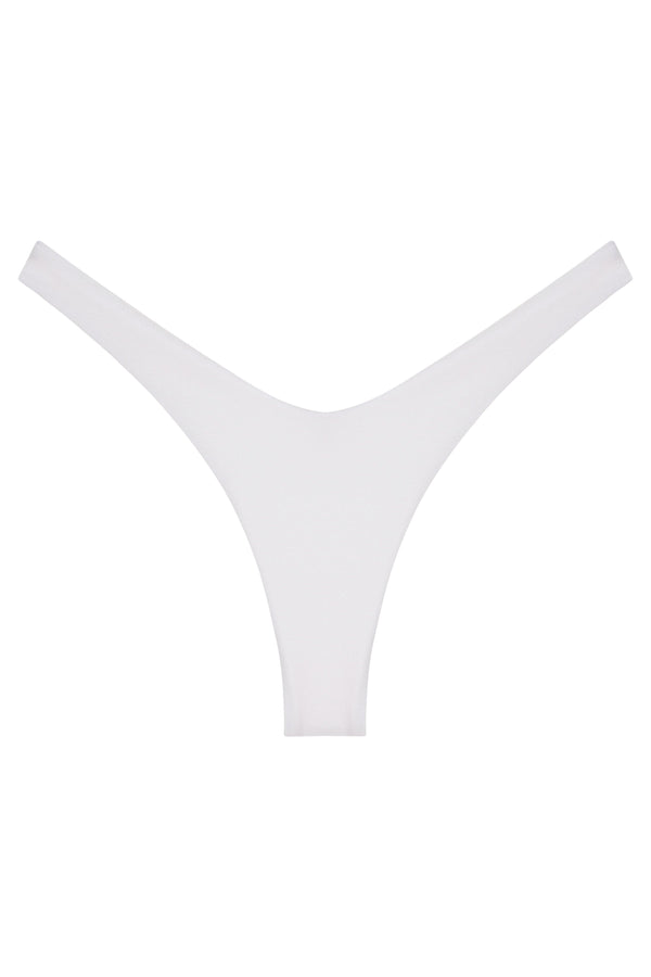 Ludisia Bottom