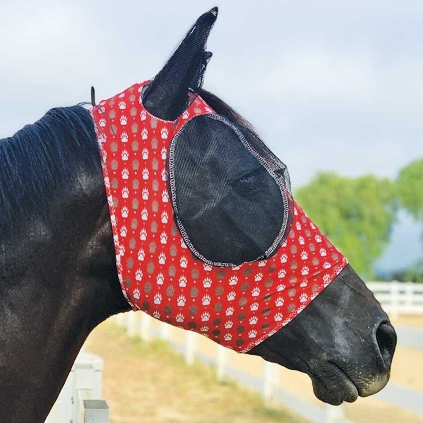 Lycra Fly Mask Bearpaw