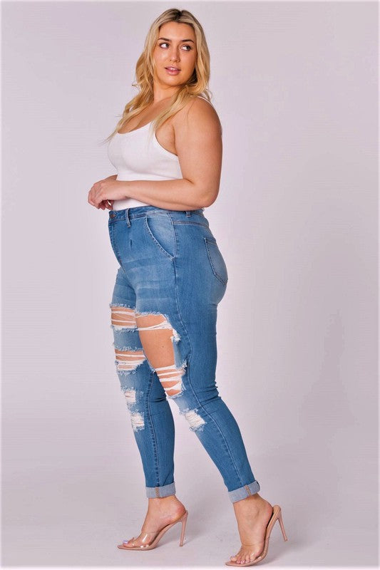 Plus Jeans Rolled Hem Distressed Pleated Mom Jeans