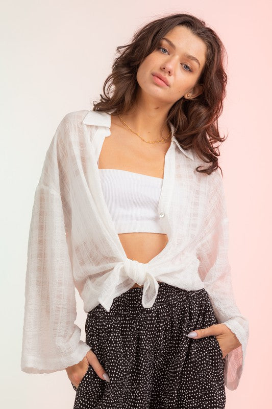 Long Sleeve Sheer Plaid Front Tie Blouse